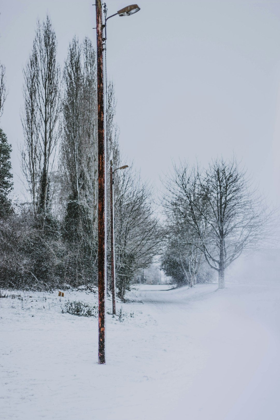 lamp post near trees