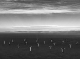 grayscale photography of calm body of water during daytime