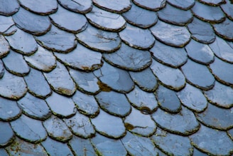 Close-up view of overlapping slate tiles on a roof, featuring a textured arrangement with visible moss growth in some areas. The tiles have a dark blue-gray color and are neatly stacked in a slightly irregular pattern, adding a rustic charm.