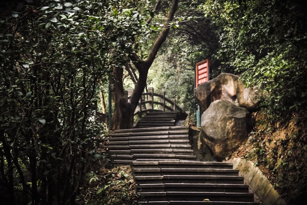 stair with boulder and treeson side