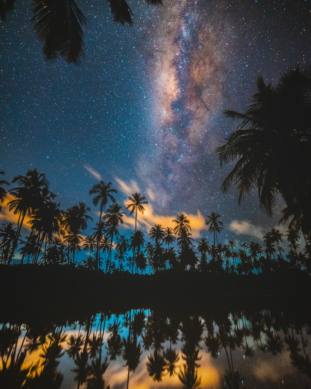 silhouette of coconut trees reflected on body of water