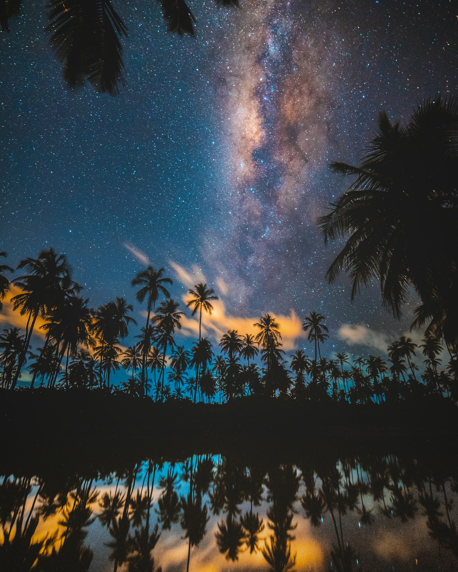 Nikon D750 + Samyang 14mm F2.8 ED AS IF UMC sample photo. Silhouette of coconut trees photography