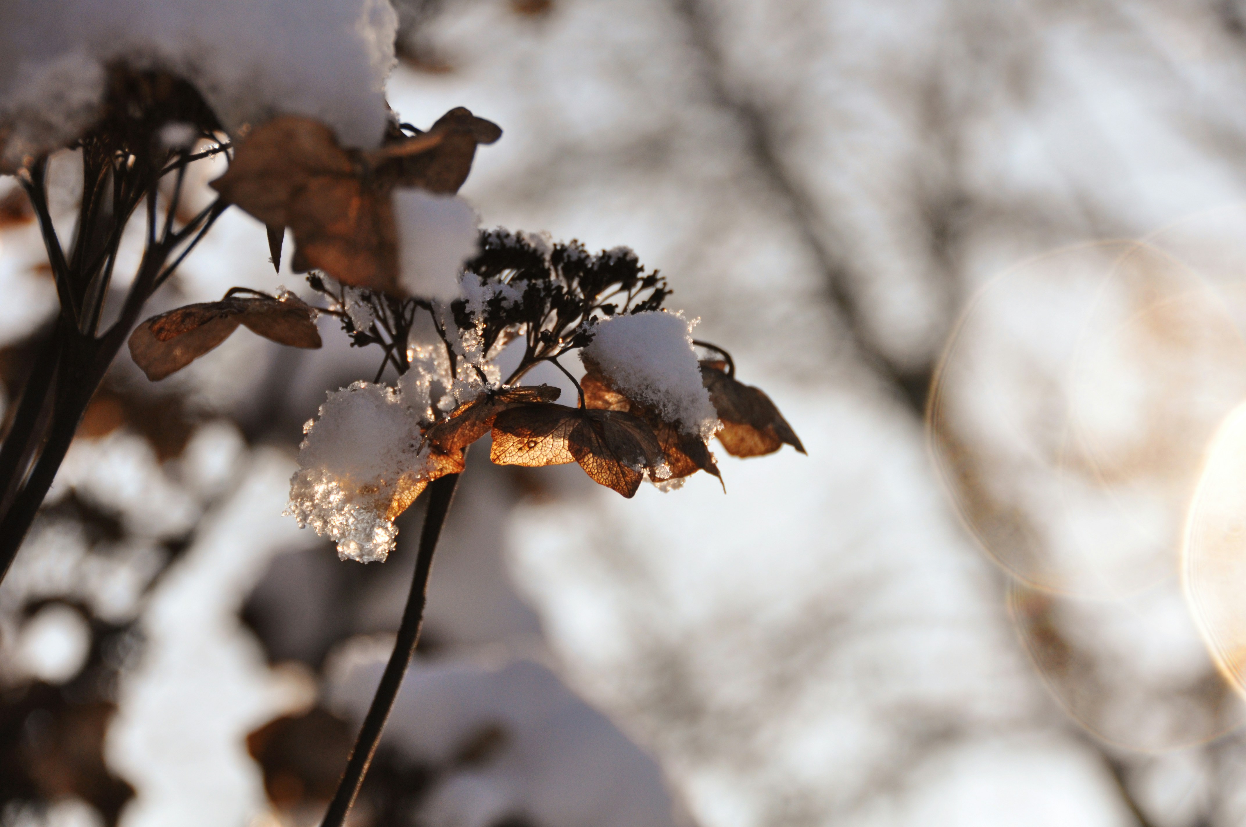 Photo by lieselot_dalle