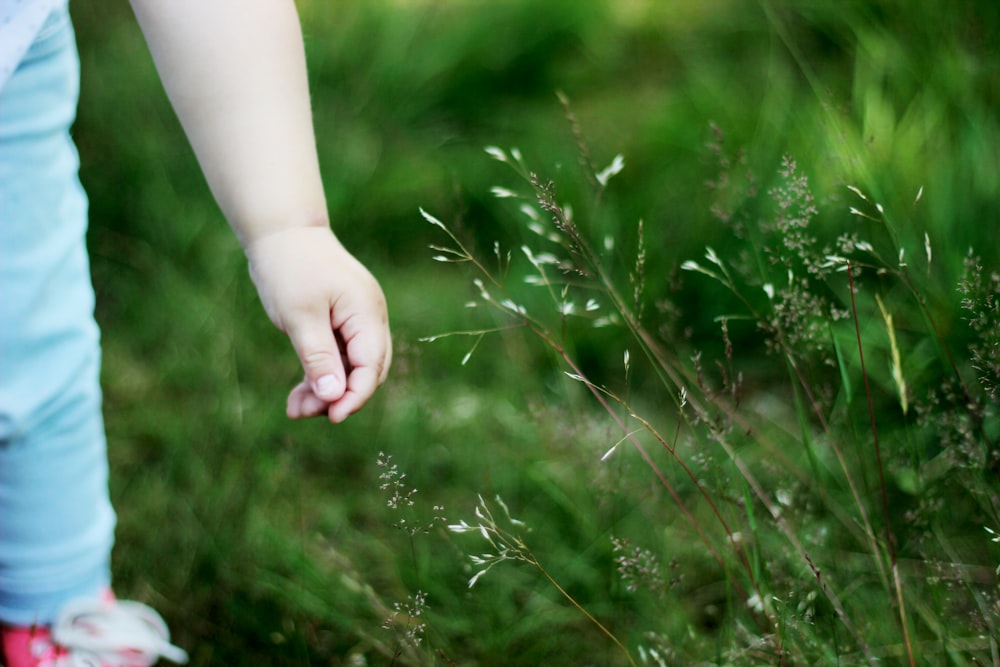 selective focus photography of toddler standing on green grass field