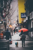 people walking on street beside high rise buildings