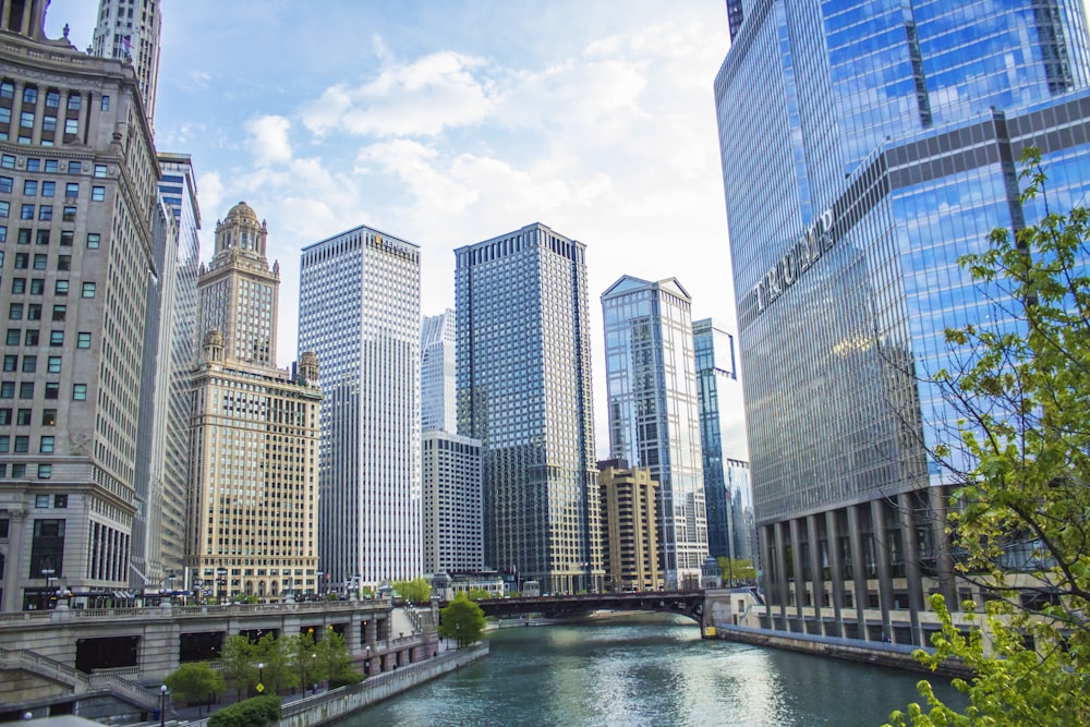 high rise buildings view from body of water