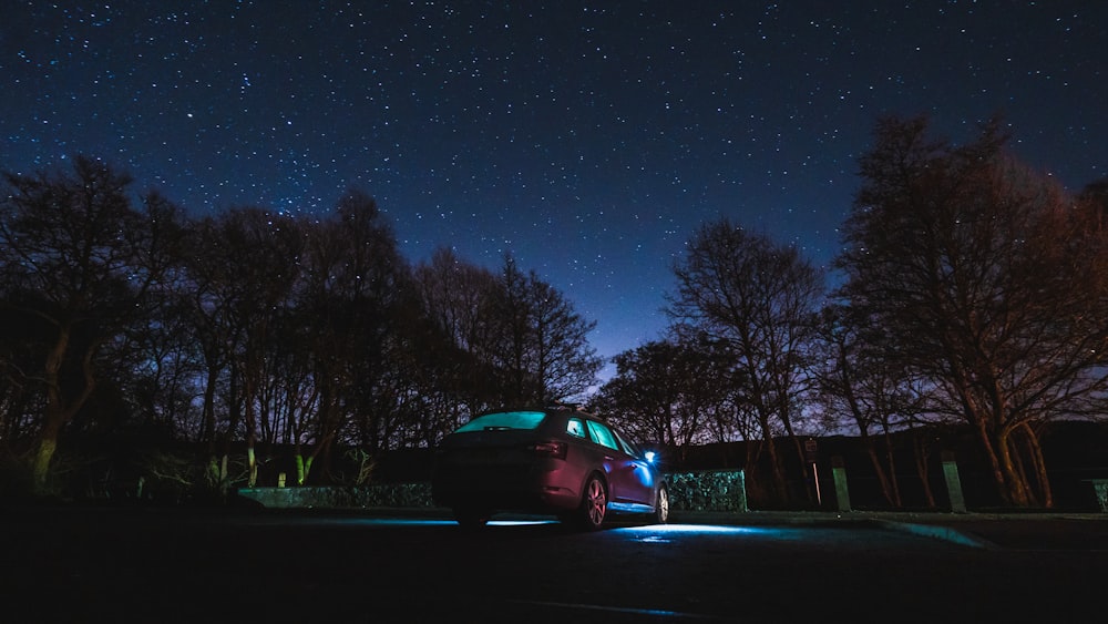 red car surrounded by trees