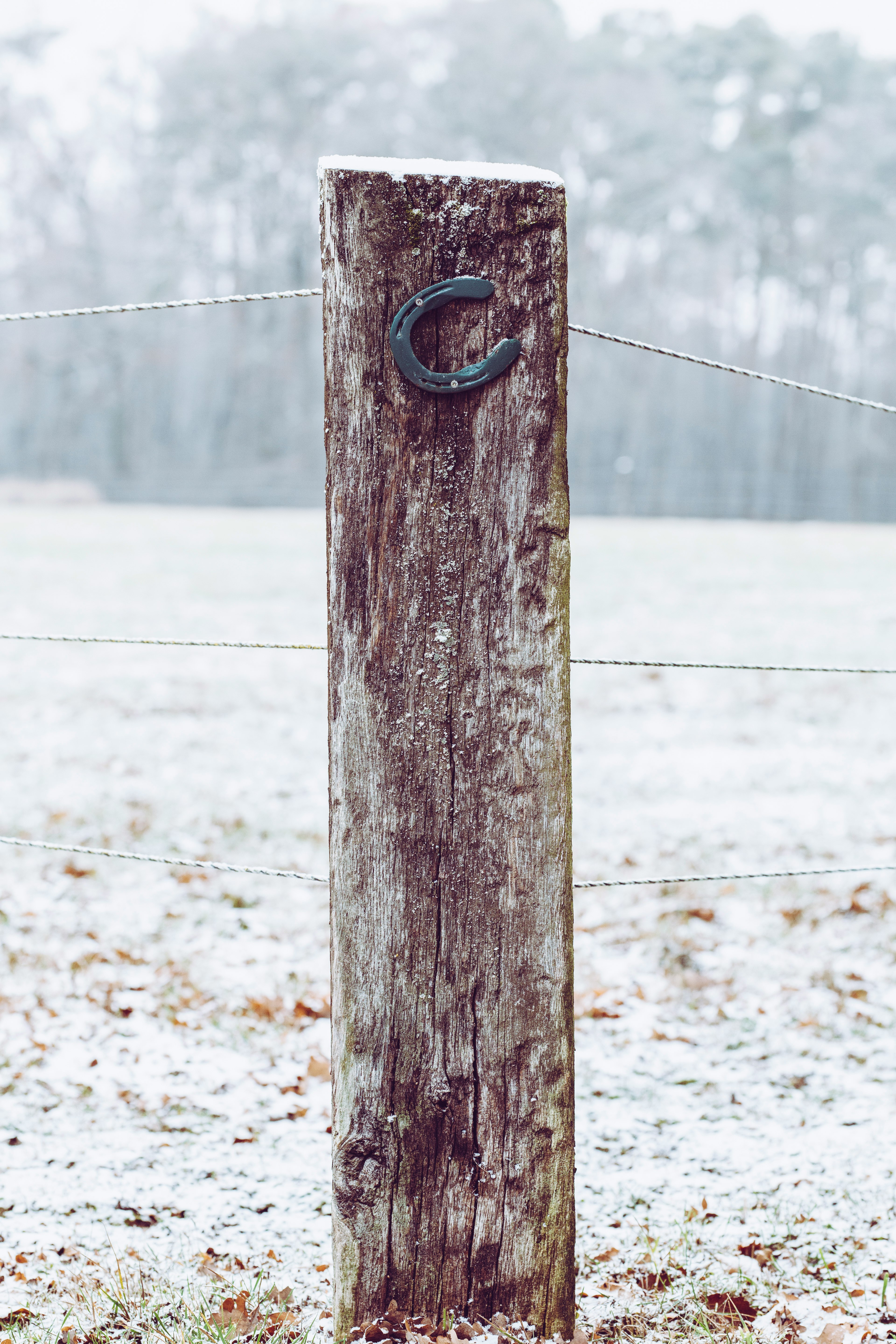 black horse shoe on black wooden fence