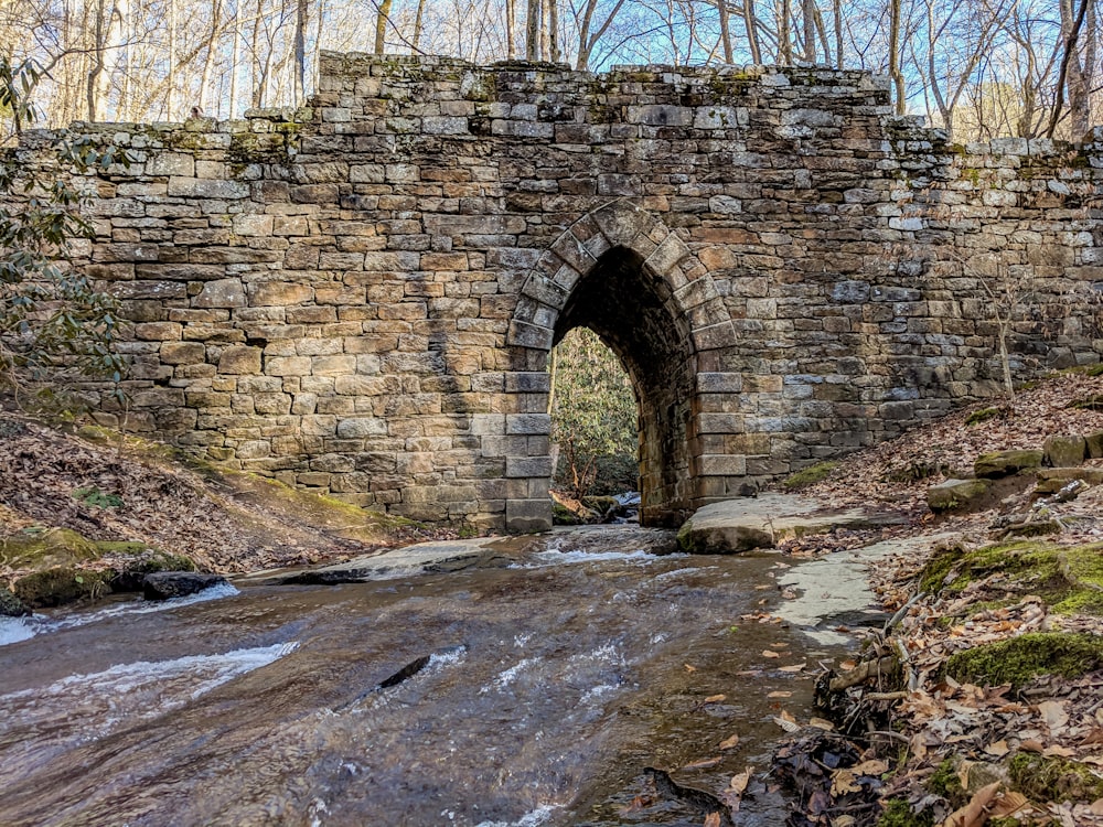 brown concrete bridge