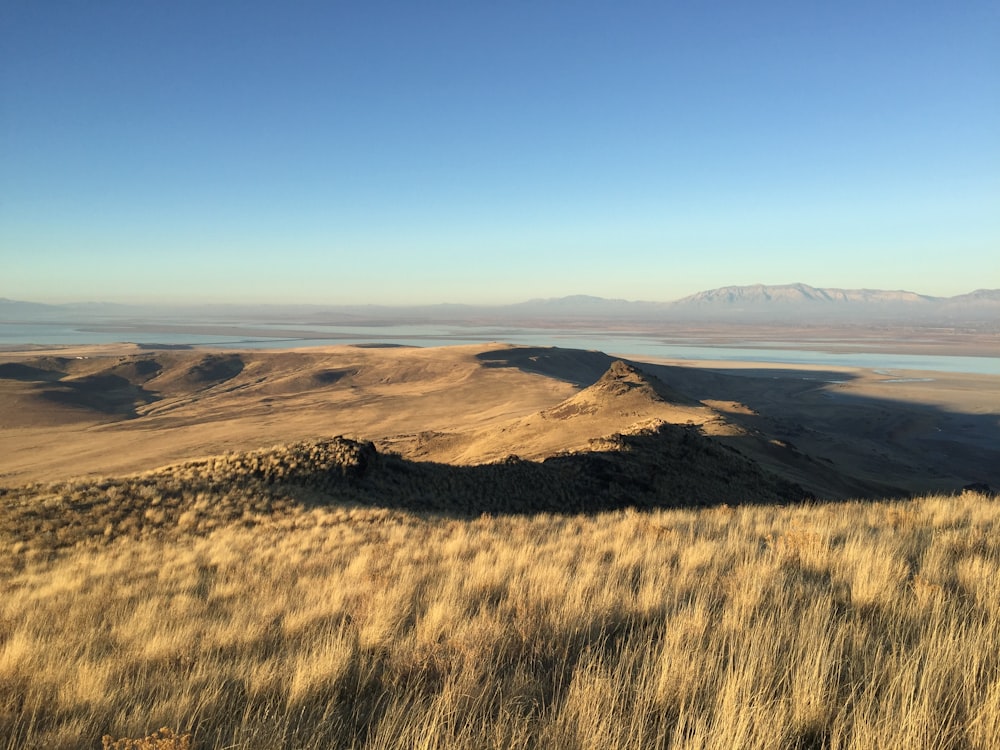 mountain and grassland under blue sky