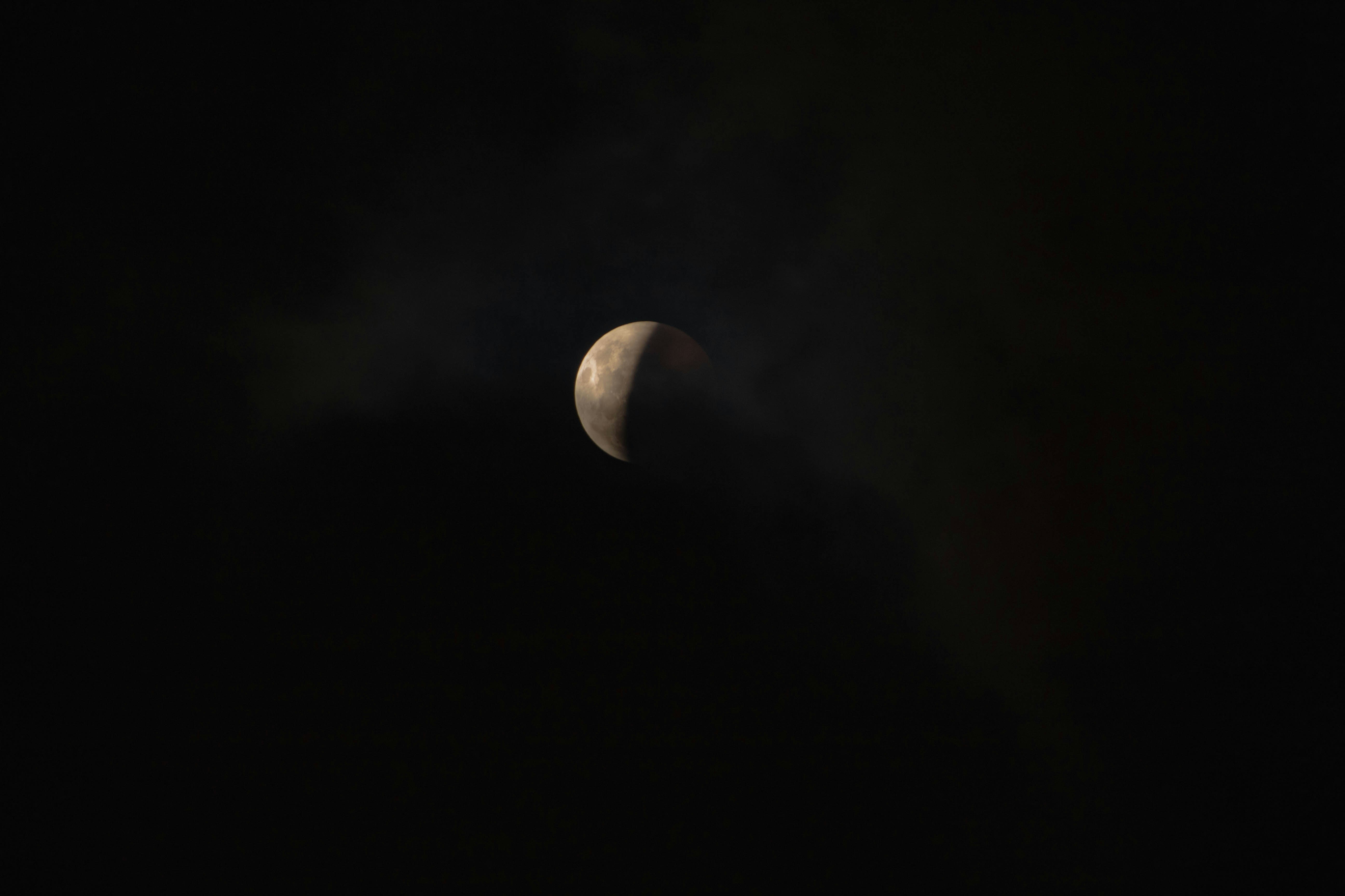 Earth's moon