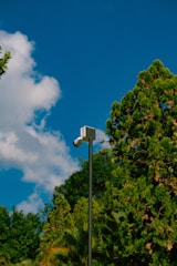 white outdoor CCTV camera mounted on pole near trees during daytime