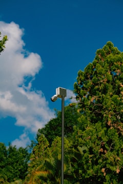 white outdoor CCTV camera mounted on pole near trees during daytime