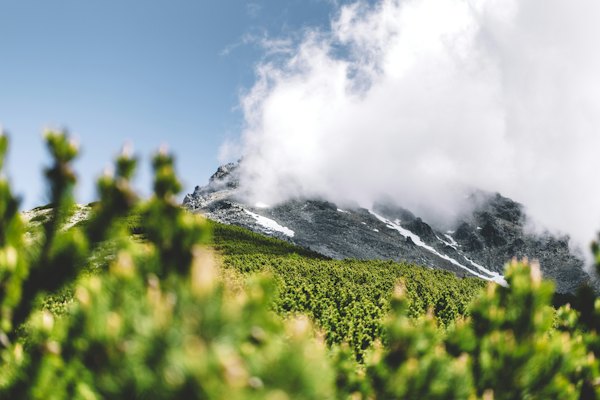 Dwarf pine below peaks in the cloud — High Tatras, Slovakia