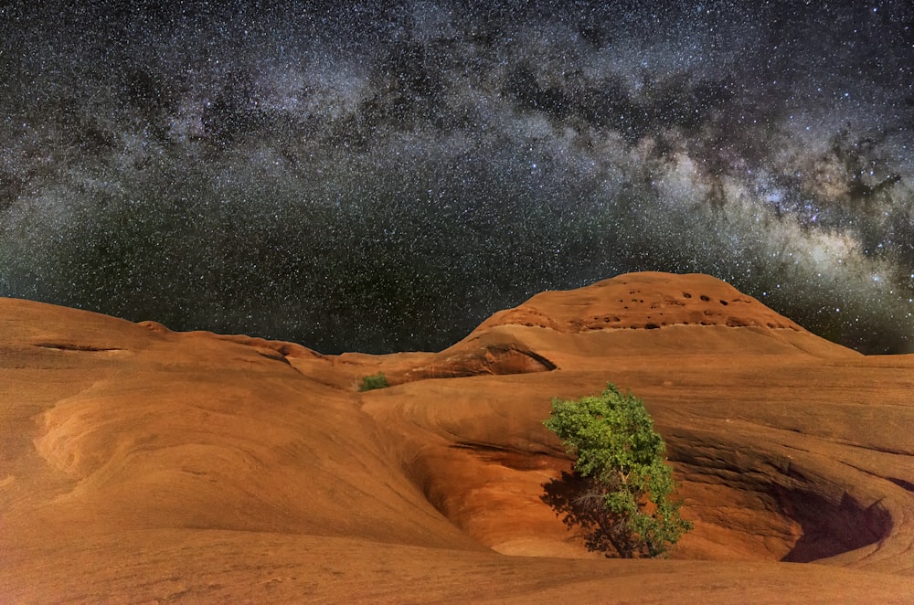 tree in the middle of crate under milkyway photo