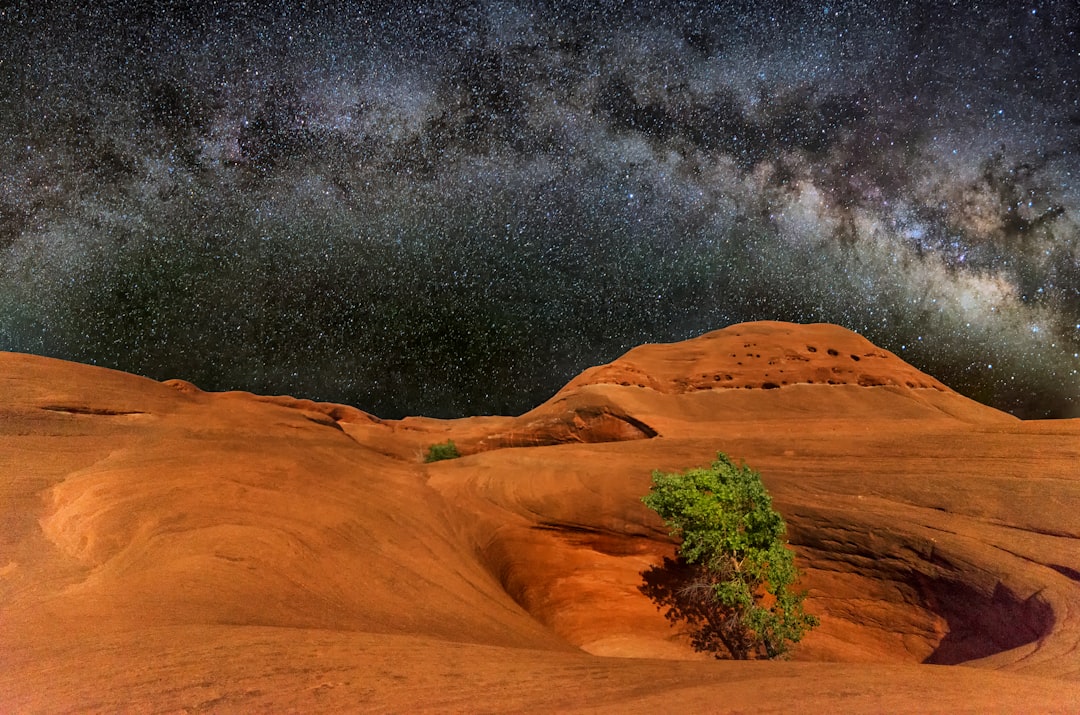 tree in the middle of crate under milkyway photo