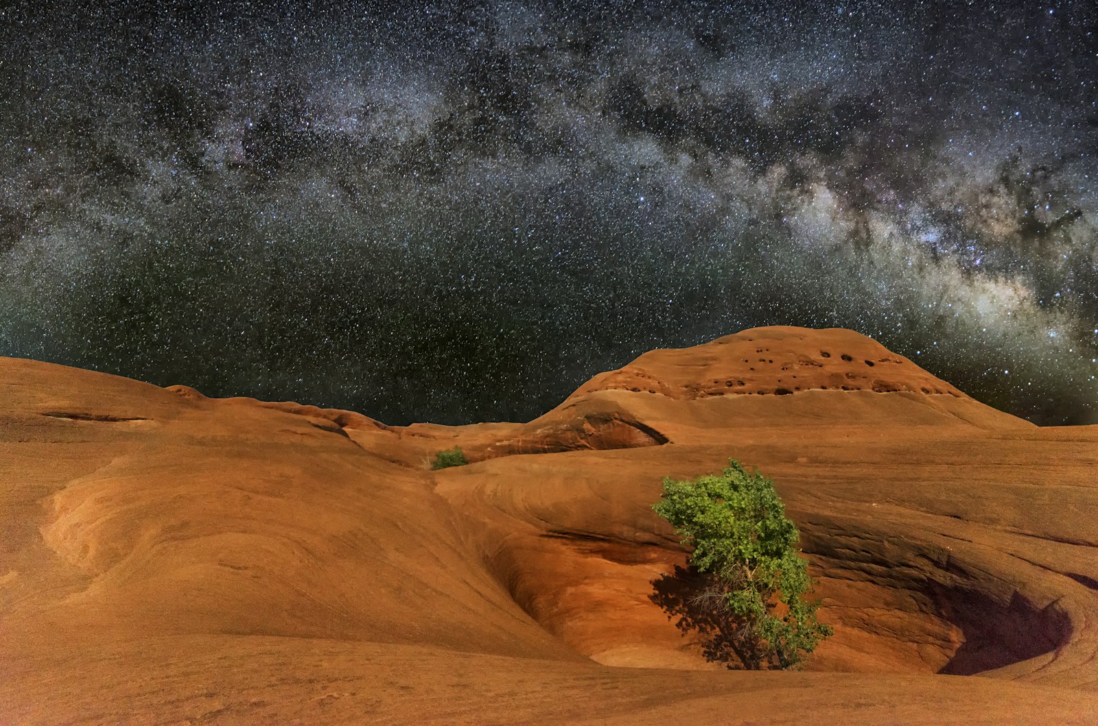 Nikon D800E + Samyang 14mm F2.8 ED AS IF UMC sample photo. Tree in the middle photography