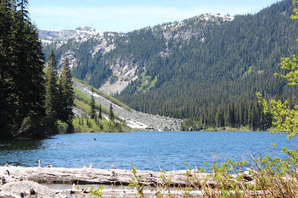 calm body of water near green mountain during daytime