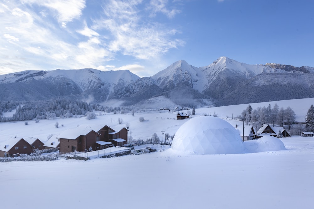 brown house surrounded by snow field