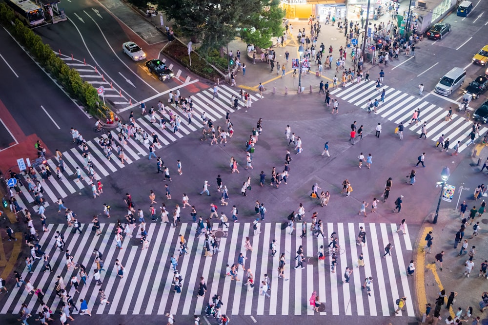 pessoas caminhando em faixas de pedestres