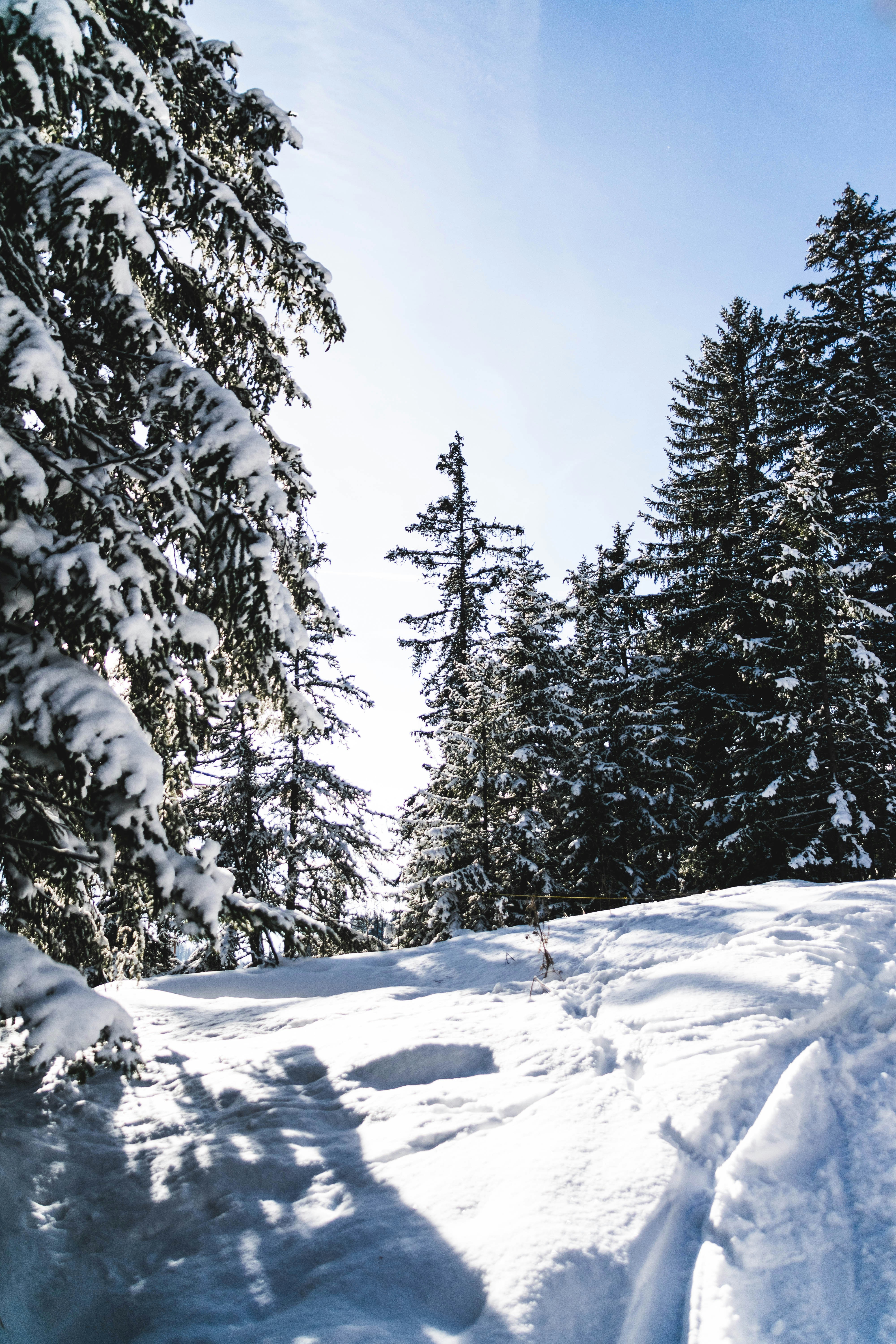 Photo by virussinside