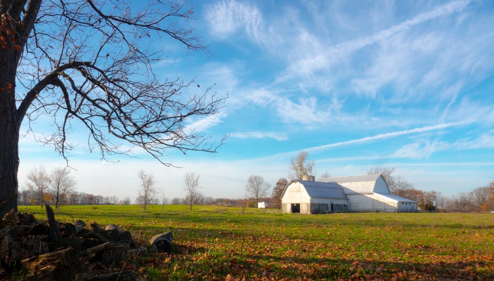 barn house near bare trees on field at daytime