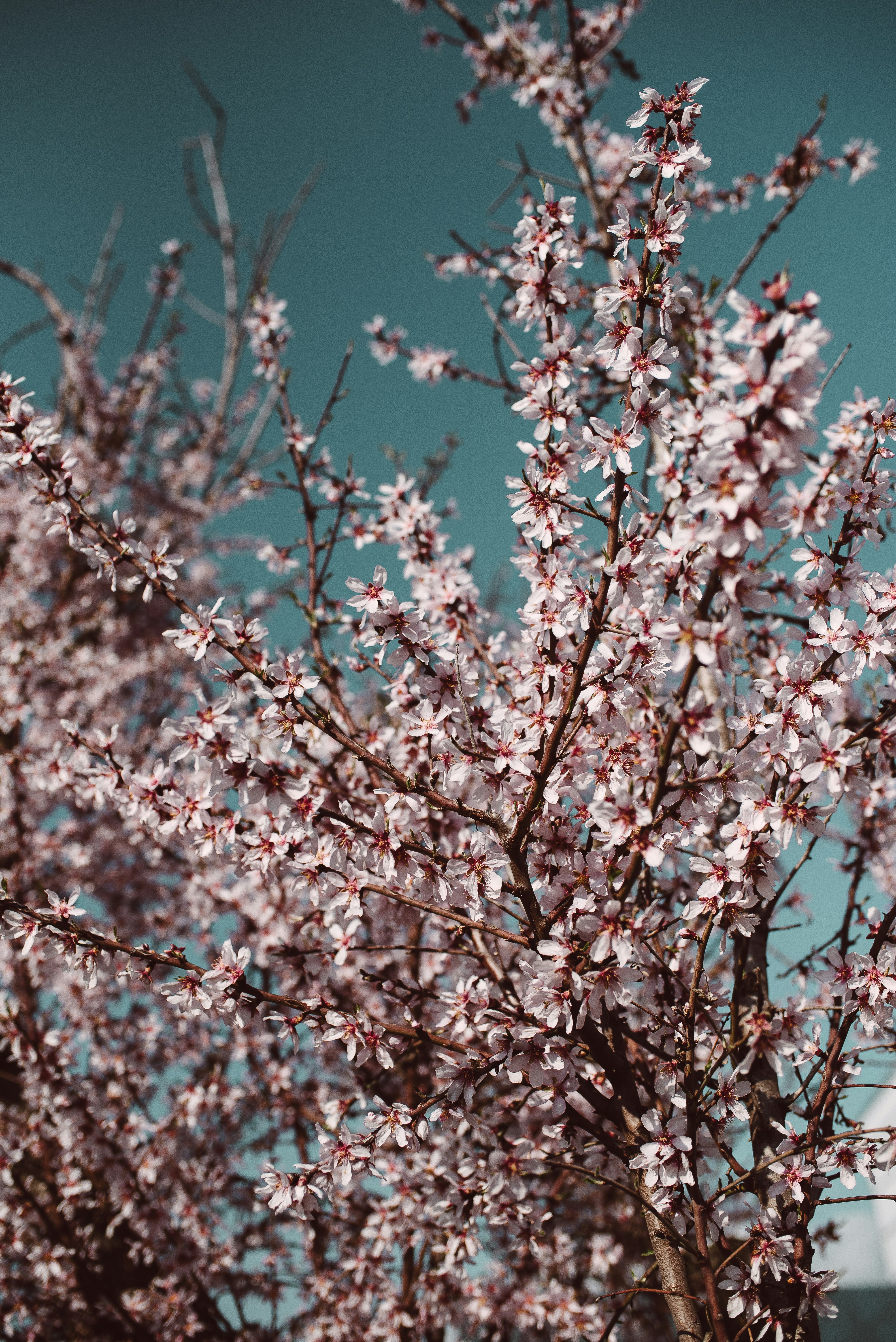 Photo by sergiujurca