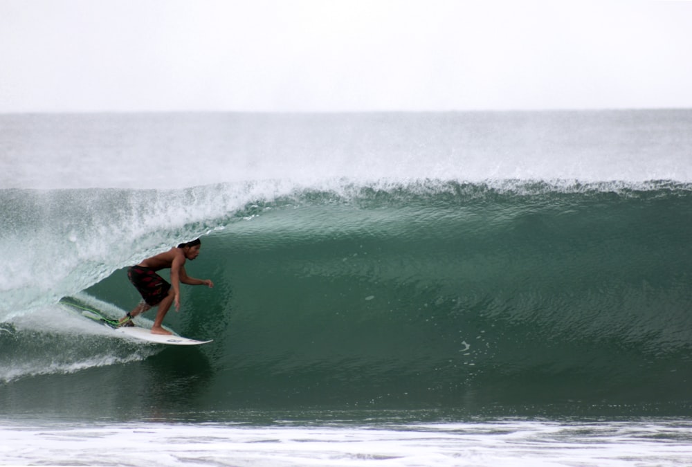 homme chevauchant une planche de surf blanche