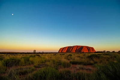 Uluru at sunset above the spinifex plain