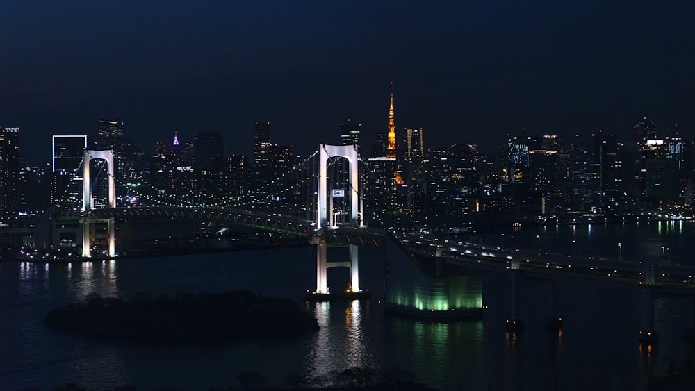 Puente blanco y negro cerca del cuerpo de agua durante la noche