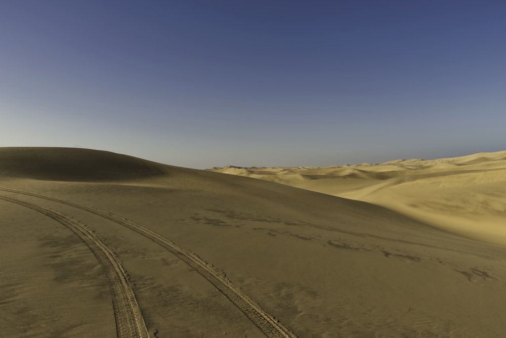 vehicle wheel prints on desert during daytime