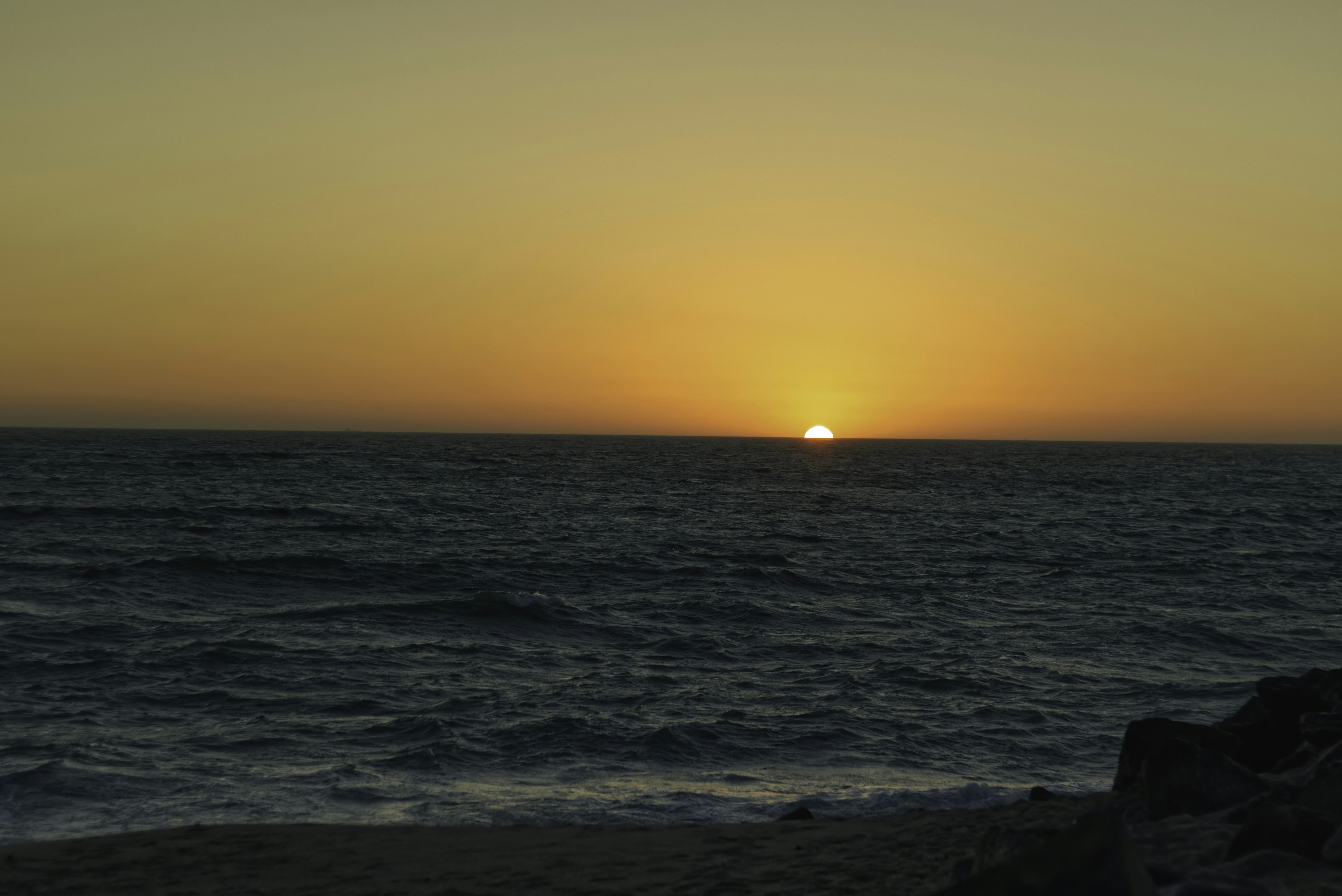 Photo by neal_albert