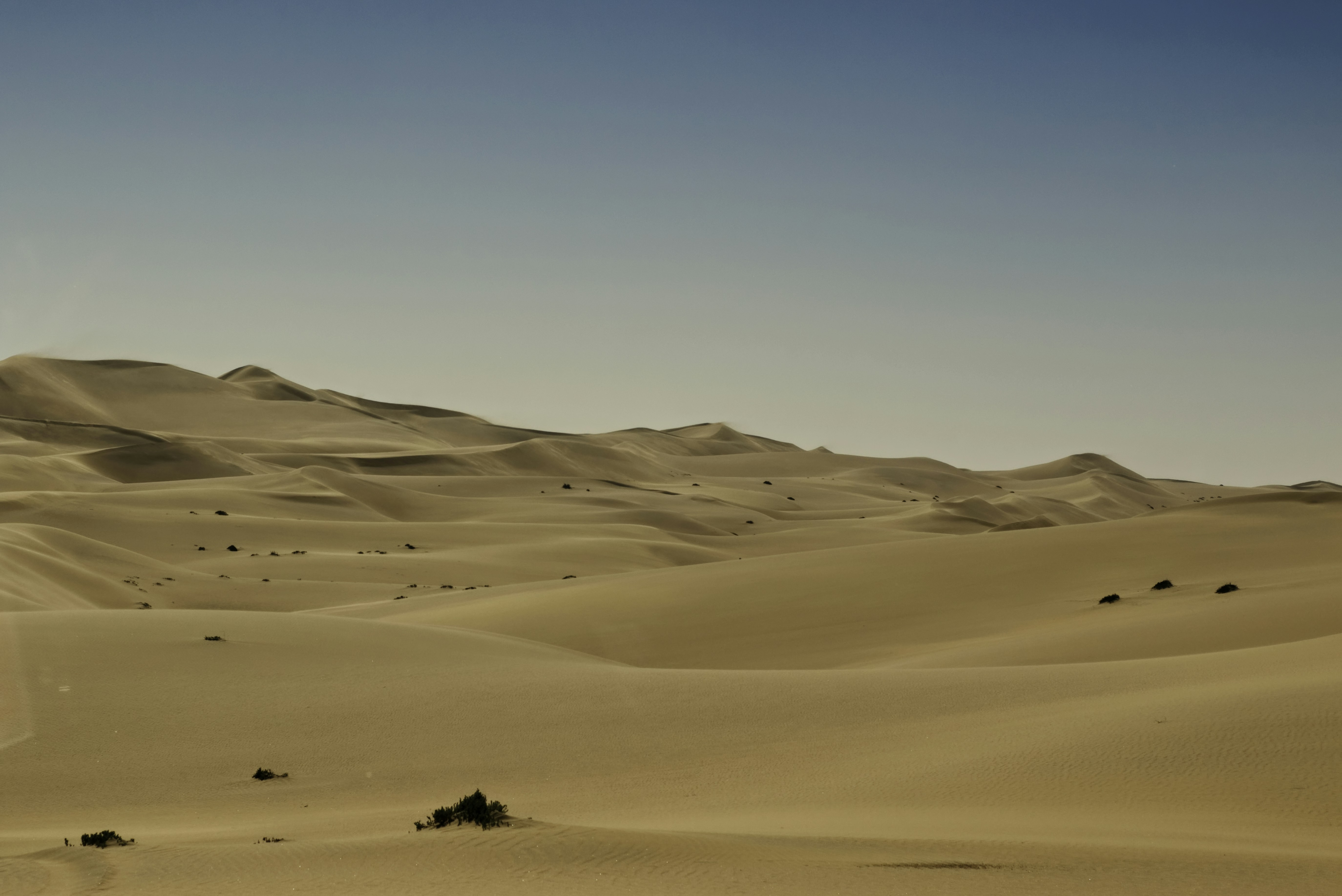 Photo by neal_albert