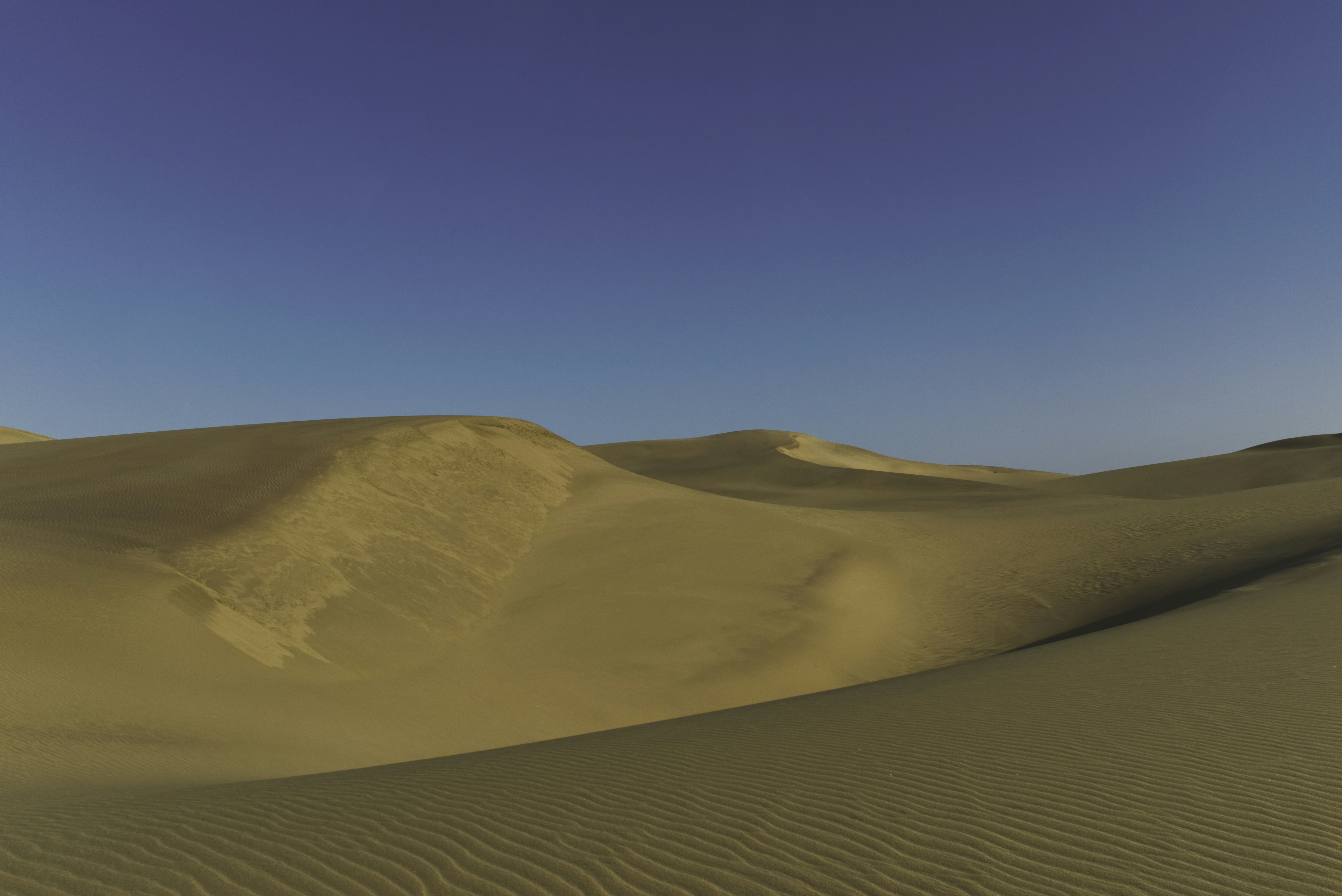 Photo by neal_albert