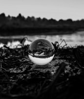 A clear crystal ball sits on a surface covered with dry leaves and twigs. The ball reflects an inverted image of the surrounding landscape, which includes a body of water and silhouetted trees against the sky.