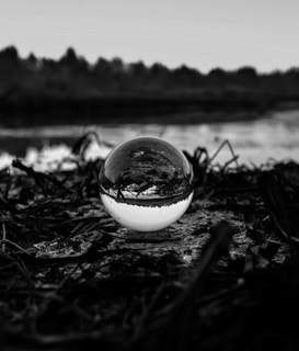 A clear crystal ball sits on a surface covered with dry leaves and twigs. The ball reflects an inverted image of the surrounding landscape, which includes a body of water and silhouetted trees against the sky.