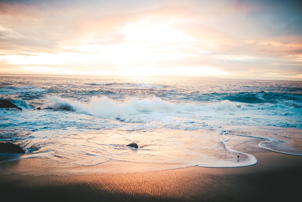 seawaves crashing on seashore during sunset