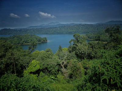 A serene landscape where a legendary Pokémon is spotted in the wild.