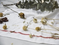 Dried flowers, including roses and eucalyptus leaves, are scattered casually on a light cloth with a red stripe. The arrangement of these withered floral elements suggests a theme of decay or nostalgia, enhanced by the simple, natural backdrop.