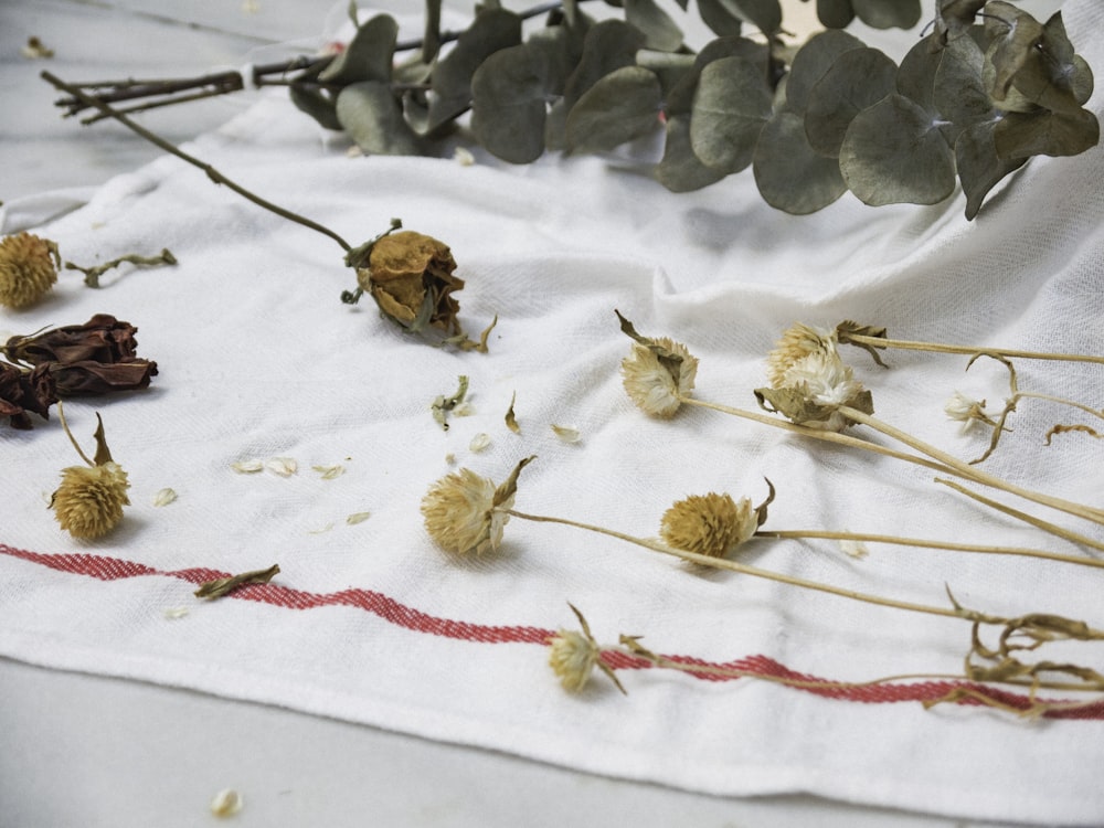 flowers on white textile