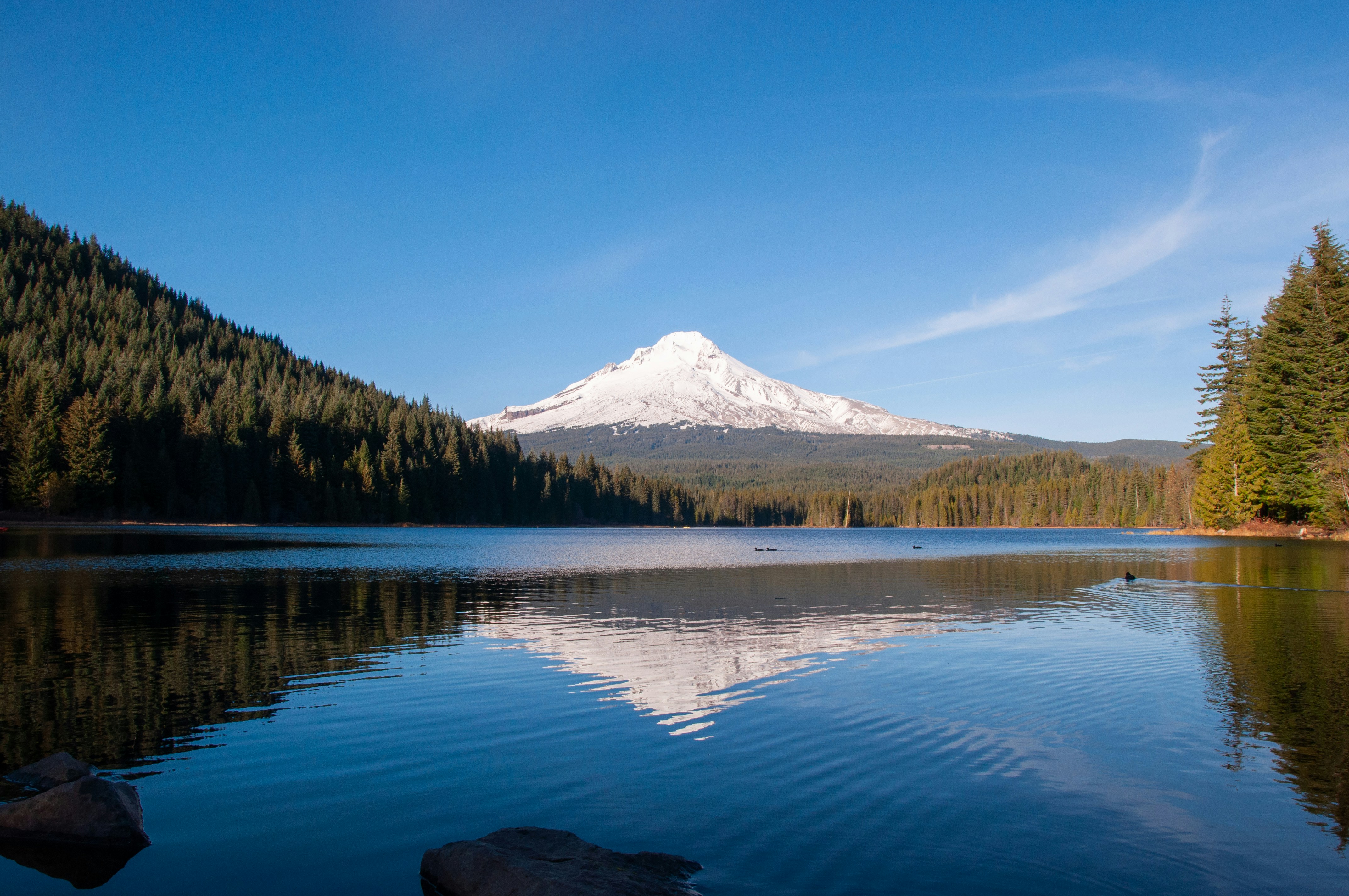 Photo by flappy_old_goat