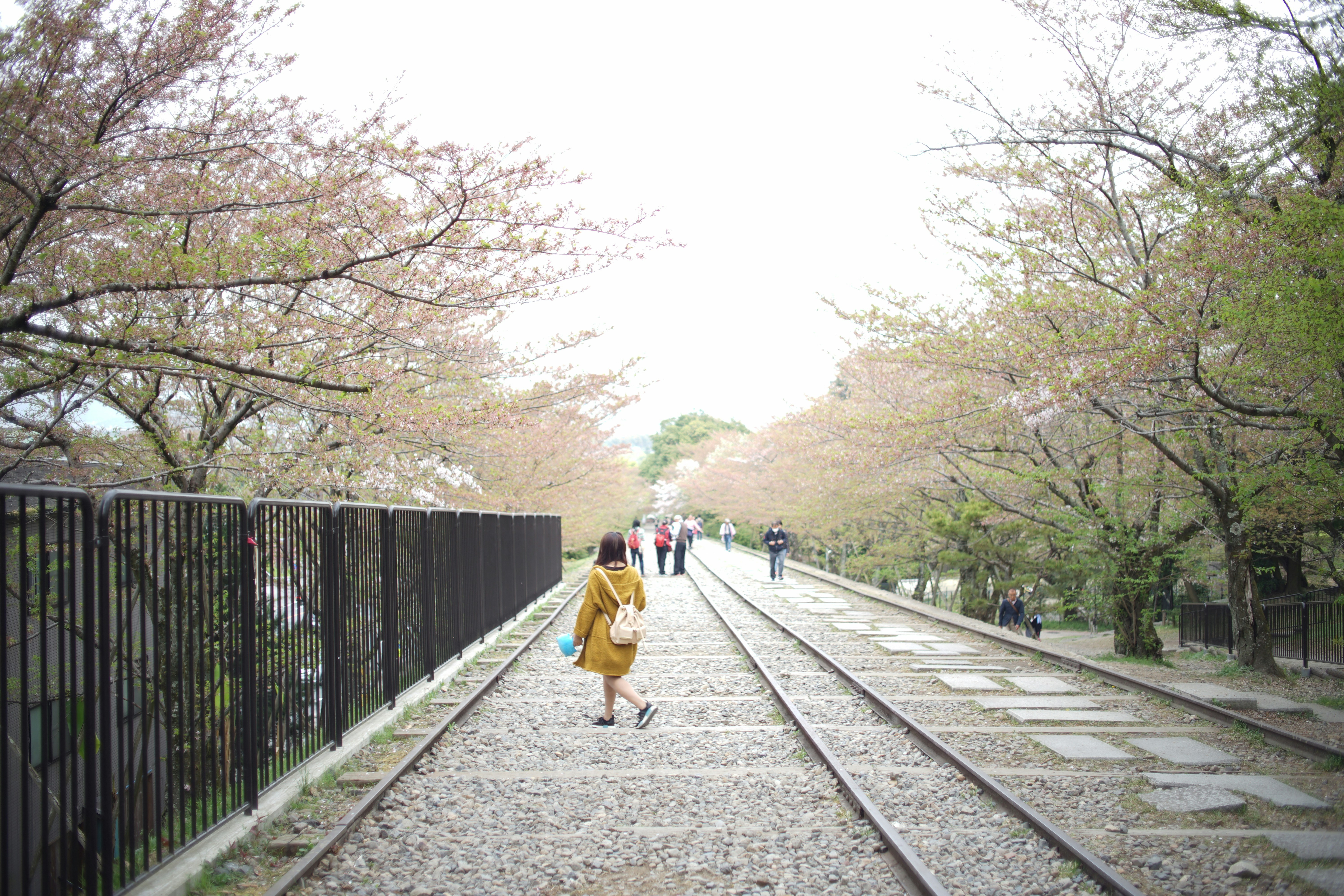 girl standing near fence