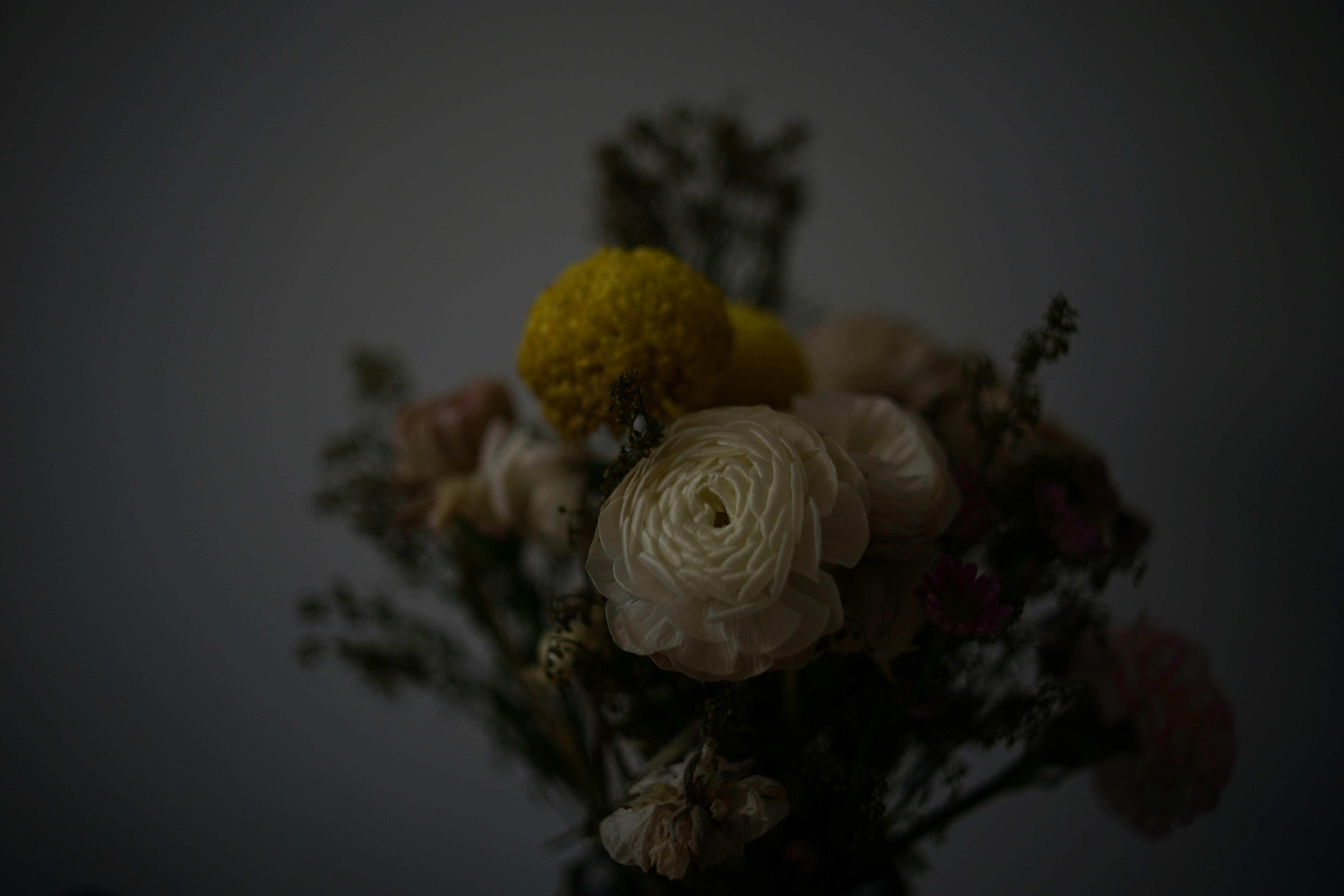 Photo by msz010dzeta
