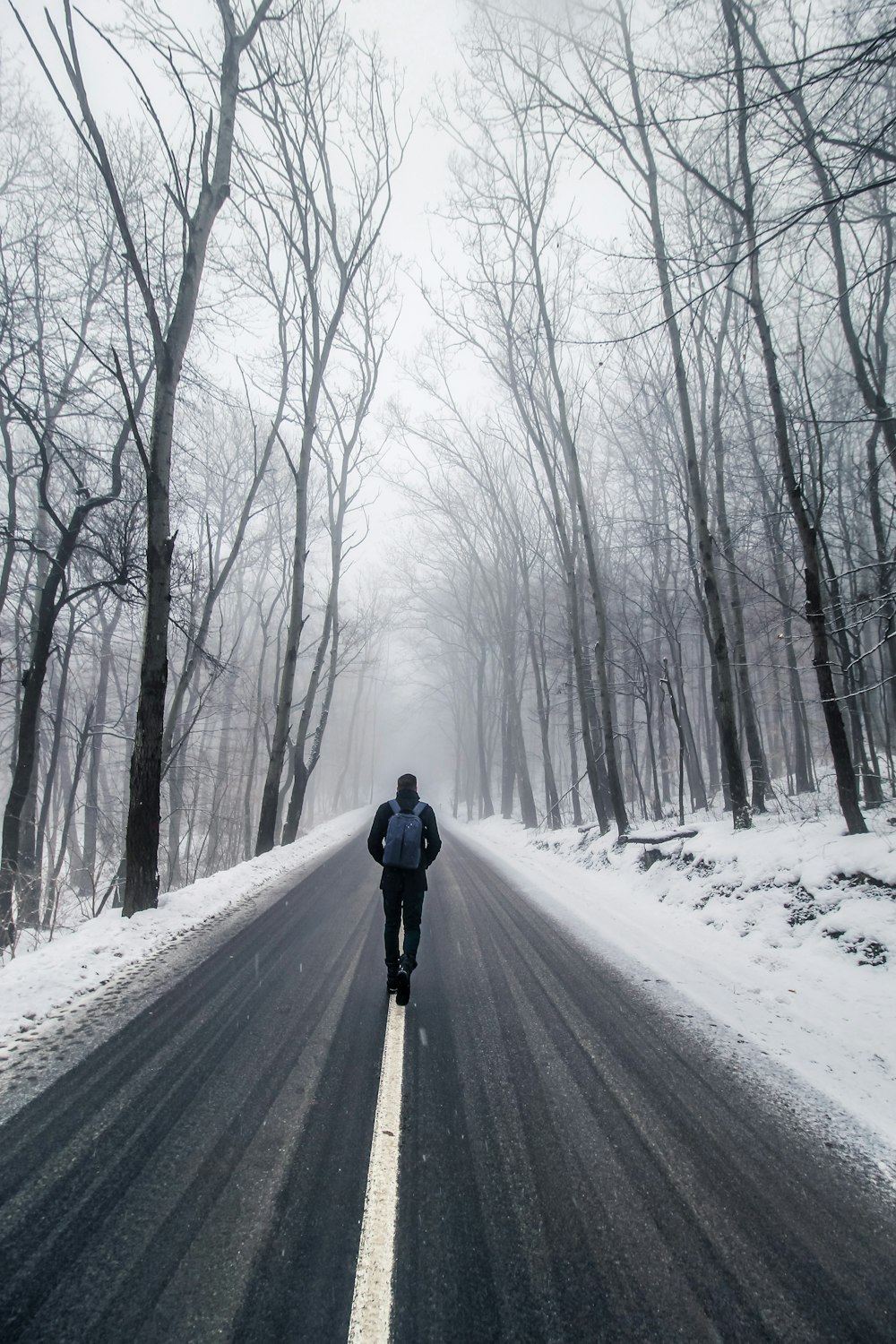 Walking In Snow Pictures | Download Free Images on Unsplash
