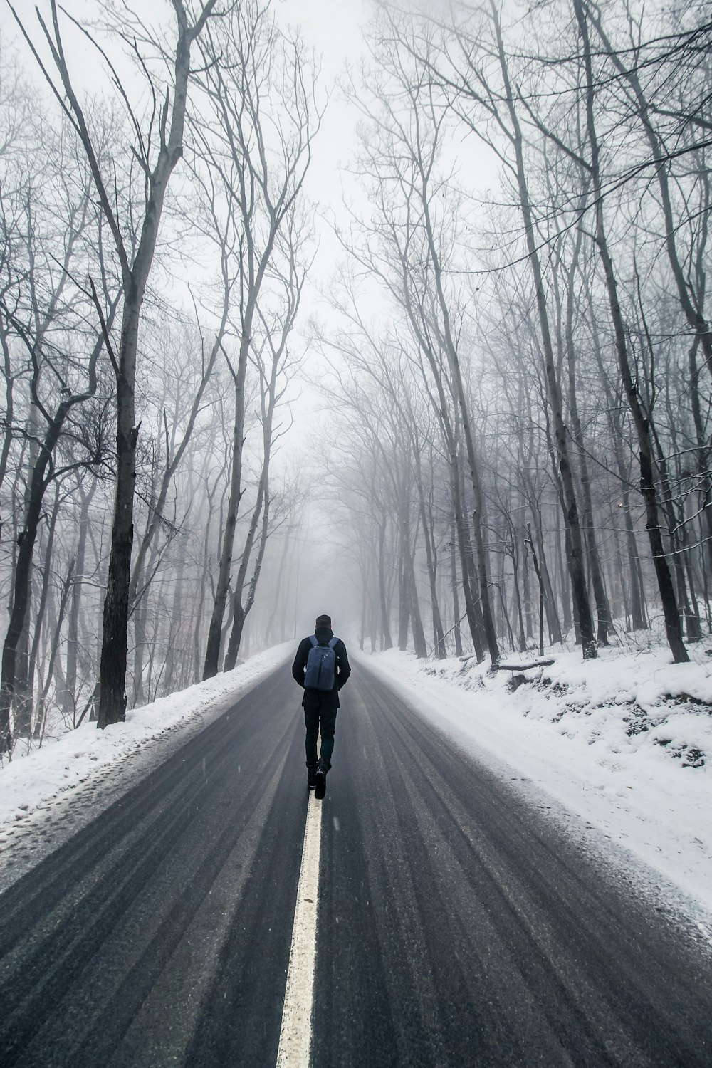 man walking on road between bare trees