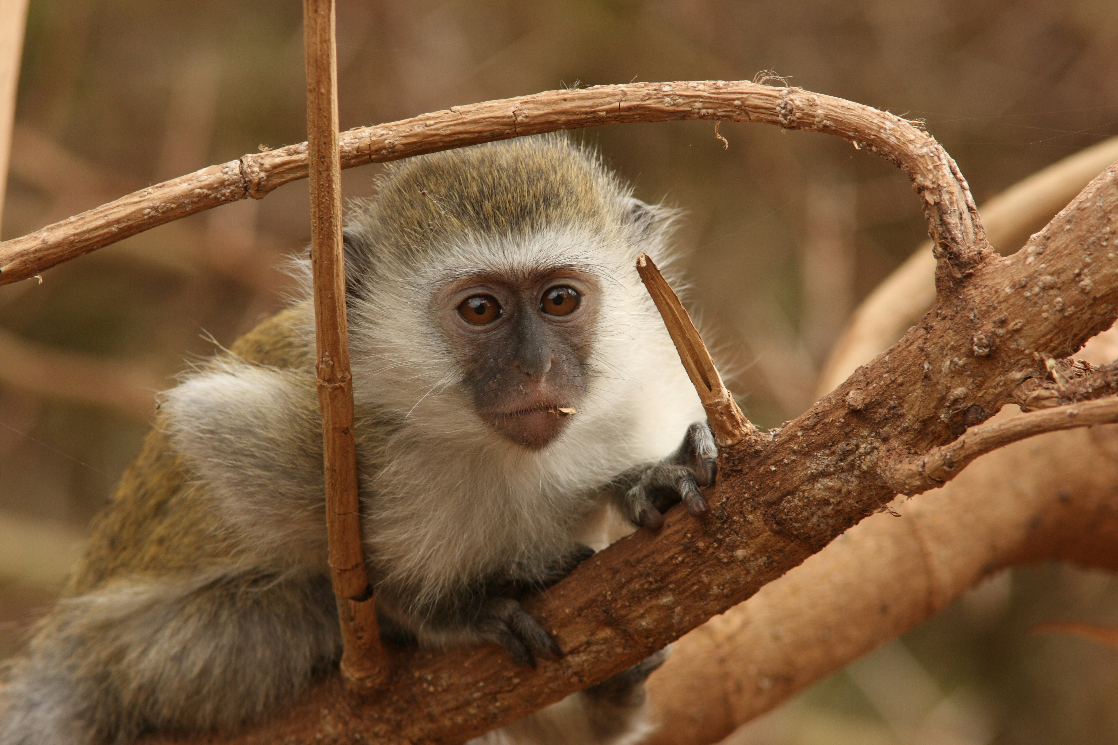 Photo by kilikarsten