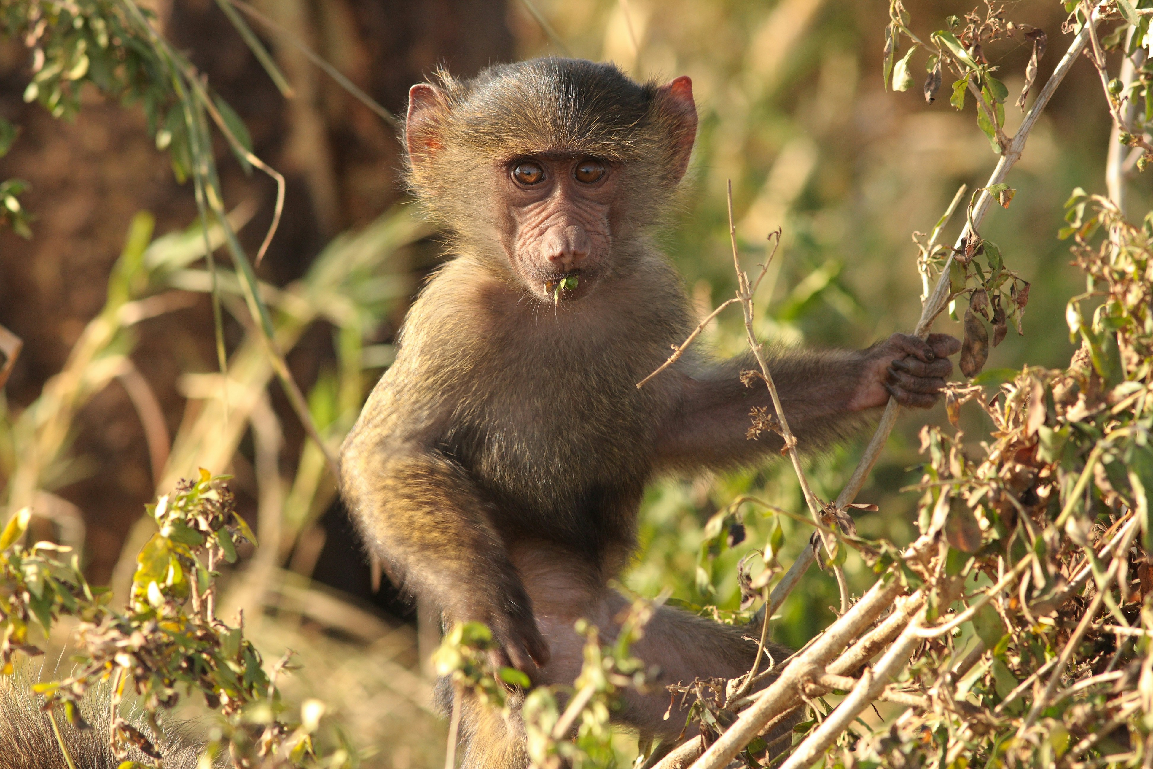 Photo by kilikarsten