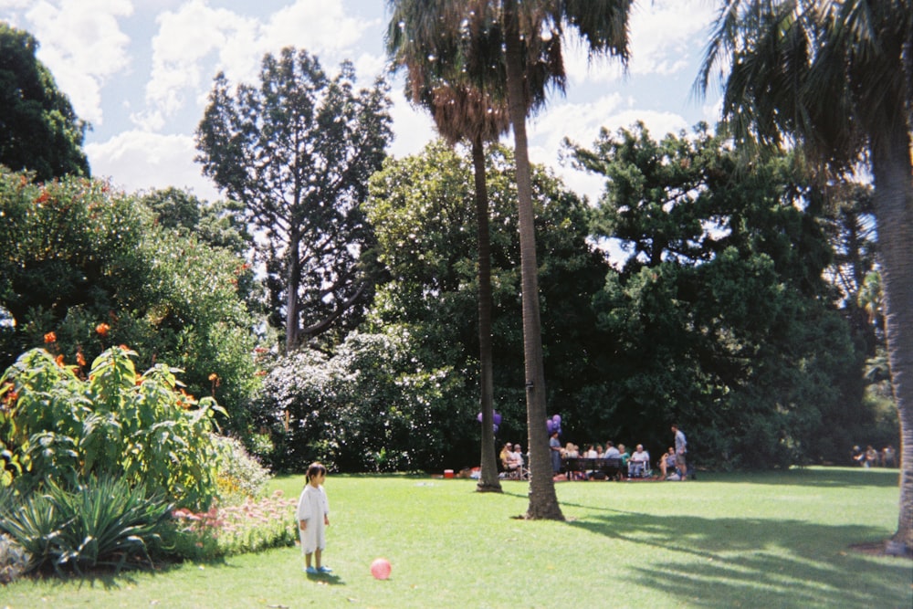 girl standing near palm trees