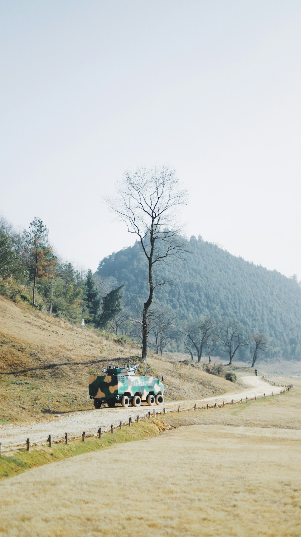 green truck parked near bare tree