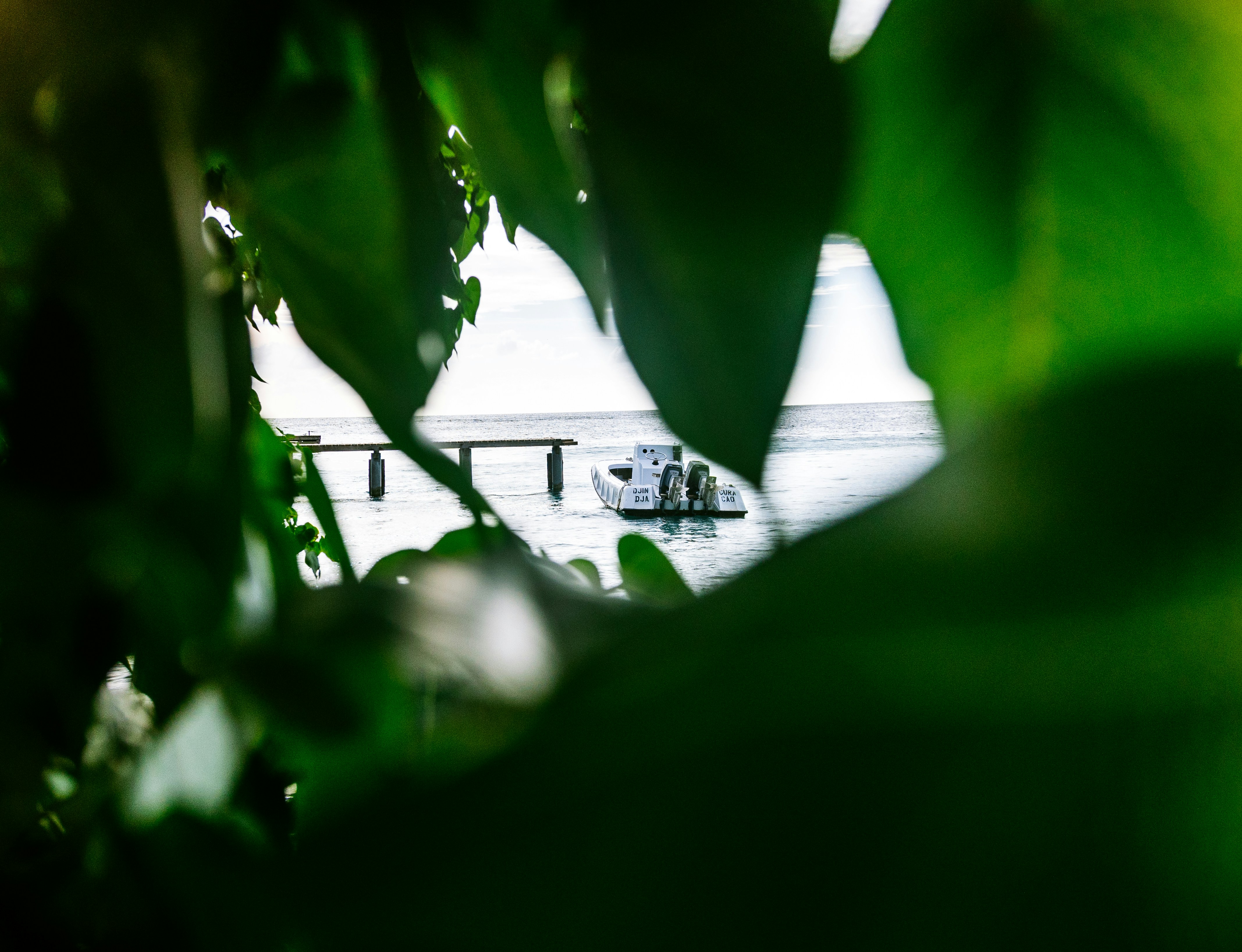 Photo by brunovdkraan